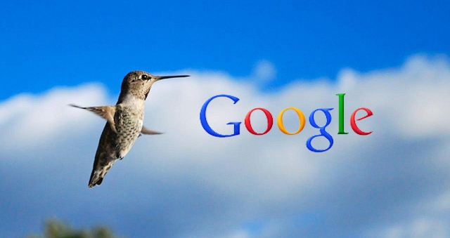 google hummingbird colibrì